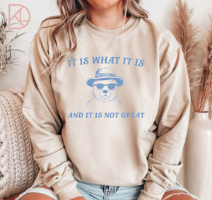 It Is What It Is....And It Is Not Great (Two Apparel Options) *Pre-Order*