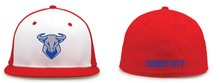 Load image into Gallery viewer, Cement City Fitted Flat Bill Cap
