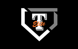 Texas Elite Softball Logo Flag (Option 1)