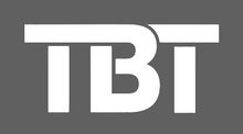 Load image into Gallery viewer, TBT Car Decal
