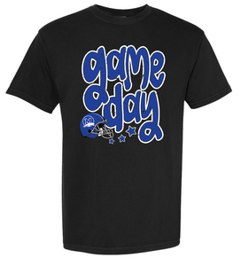 Panther Football Game Day Apparel (Multiple Apparel Options)