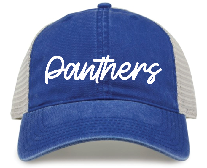 Panthers Washed Cap (Multiple Color Options)