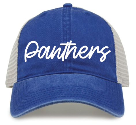 Panthers The Game Washed Cap (One Size Adjustable)
