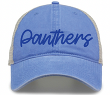 Load image into Gallery viewer, Panthers The Game Washed Cap (One Size Adjustable)

