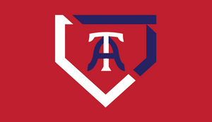 Arlington Twins Logo Flag (Option 2)